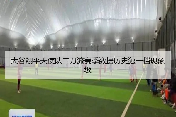 大谷翔平天使队二刀流赛季数据历史独一档现象级