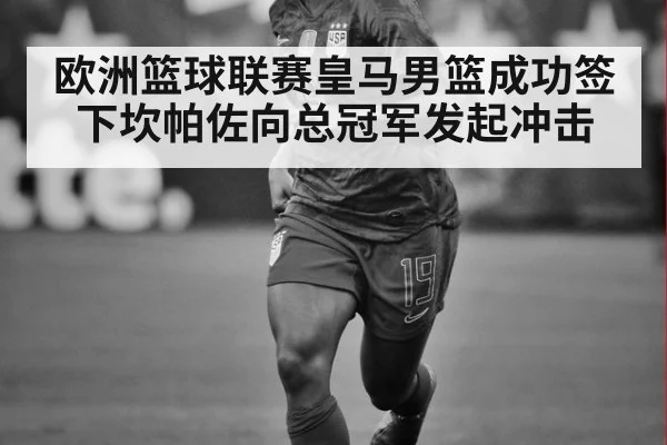 欧洲篮球联赛皇马男篮成功签下坎帕佐向总冠军发起冲击