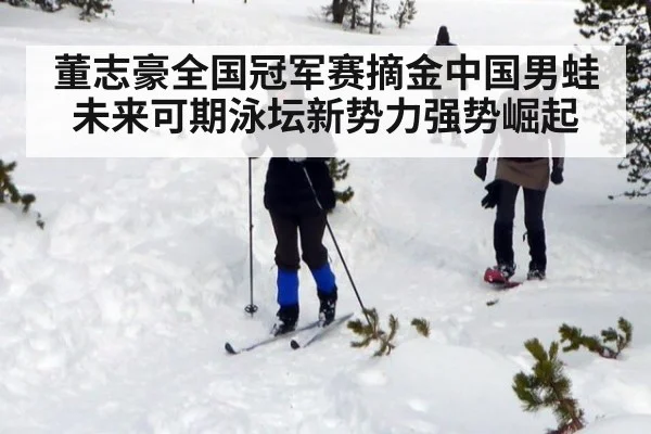 董志豪全国冠军赛摘金中国男蛙未来可期泳坛新势力强势崛起